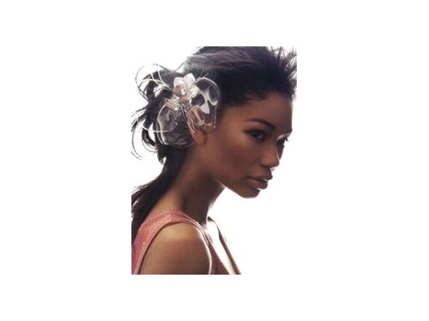 Chanel Iman: Siêu mẫu da màu ấn tượng nhất thế giới 2007 